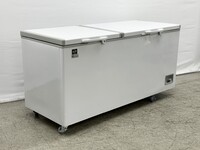 NSF 72 inch Chest Freezer BD-620
