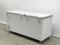 NSF 72 inch Chest Freezer BD-620