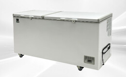 NSF 72 inch Chest Freezer BD-620