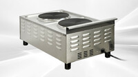 NSF Two Burner Heavy Duty Electric Hot Plate hotplate FG-02A