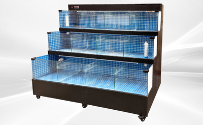 80 inches Sea Water Seafood Lobster Display Case 220v HL80