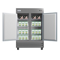 NSF Commercial Reach In 2 Door Freezer XB54F