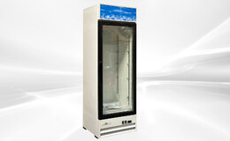 NSF One glass door refrigerator G398BMF