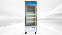 NSF One glass door freezer Merchandiser SS door D368BMF