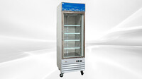 NSF One glass door freezer Merchandiser SS door D368BMF