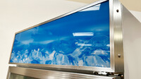 NSF One glass door freezer Merchandiser SS door D368BMF