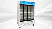 NSF Two glass door refrigerator G1.2YBM2F slide