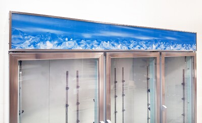 NSF 3 Glass Door Freezer Merchandiser Frozen food SD1.9L3