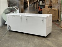 NSF Commercial Huge Chest Freezer 35 cu ft BD1050