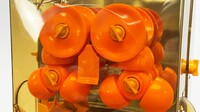 NSF Commercial Orange Juicer Squeezer Extractor Machine 2000E-2