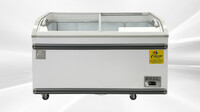 NSF 56 ins Supermarket Grocery Freezer WD-500Y