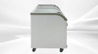 NSF 56 ins Supermarket Grocery Freezer WD-500Y