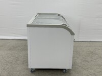 NSF 56 ins Supermarket Grocery Freezer WD-500Y