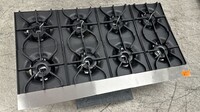 NSF 48 ins Eight burner gas heavy hot plates CCHPA48