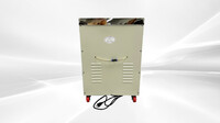 Chamber Vacuum Packaging Machine Food Vacuum Sealer SV1