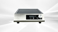 NSF 3500W Commercial Induction Cooker Stainless Steel 220v  A80