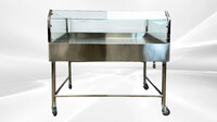 60 Seafood Display Table Ice Bin Cold Insulated Fish Meat ICT60