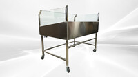 60 Seafood Display Table Ice Bin Cold Insulated Fish Meat ICT60