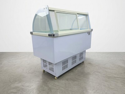 53 ins 110v Popsicle freezer display BQL-222P