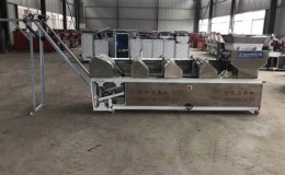 Custom made  Industry Noodle machine