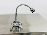 Commercial Pre-Rinse Kitchen sink Faucet FC91