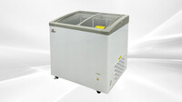 NSF 31 ins Ice Cream Glass Freezer 6.7 CU FT SD251S