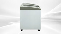 NSF 31 ins Ice Cream Glass Freezer 6.7 CU FT SD251S