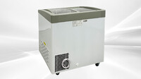 NSF 31 ins Ice Cream Glass Freezer 6.7 CU FT SD251S