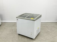 NSF 31 ins Ice Cream Glass Freezer 6.7 CU FT SD251S