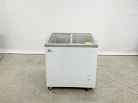 NSF 31 ins Ice Cream Glass Freezer 6.7 CU FT SD251S