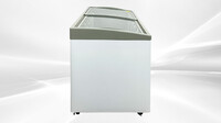 NSF 60 inches 14 cu ft Chest Glass door Freezer SD551S