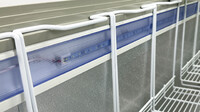 NSF 60 inches 14 cu ft Chest Glass door Freezer SD551S