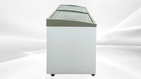 NSF 72 inches 17 cu ft Chest Glass door Freezer SD651S