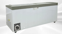 NSF 72 inches 17 cu ft Chest Glass door Freezer SD651S