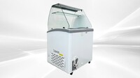 NSF 31 ins Gelato Ice Cream Dipping Cabinet SD251S with glass