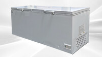 NSF 92 inch Chest freezer 26.68 cu ft BD850