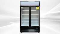 NSF 48 inches two glass door refrigerator LG1000