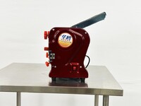 Electric Pasta Maker Automatic Noodle Machine RSS240C