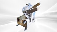 12 ins fully auto automatic Meat Slicer WED-300A1