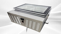 NSF 4 pan Countertop Gelato Ice Cream Display DW-67L