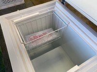 NSF -65°C 3.2 cu ft Tuna fish seafood Sashimi freezer -65W100