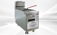 NSF Food truck restaurant Propane Countertop Fryer CTF-3 LP