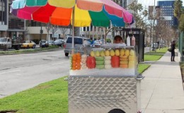 roadside street vendors Fruit vendor carts Carro de fruta FV50