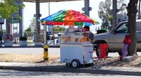 Roadside street vendors Fruit vendor carts Carro de fruta FV50