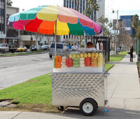 Roadside street vendors Fruit vendor carts Carro de fruta FV50