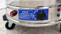 Commercial 20 in 10PCS Dim Sum Steamer 220v ST10