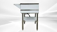 NSF 2 plate warmer and dry steam table 110v NH-2-120