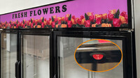 NSF 78 in Refrigerator Display Flower Fridge 78G-3D-SW-FL