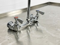 Commercial Kitchen Faucet Restaurant Sink Sprayer PR-98F
