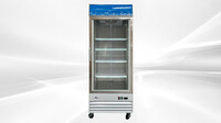 NSF 31 inches One glass door freezer D648BMF-HC